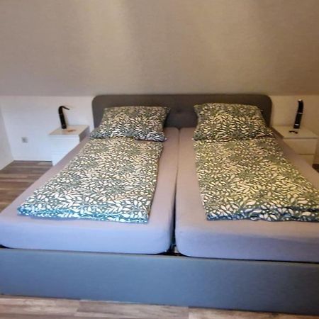 Manu'S Appartements Гослар Экстерьер фото